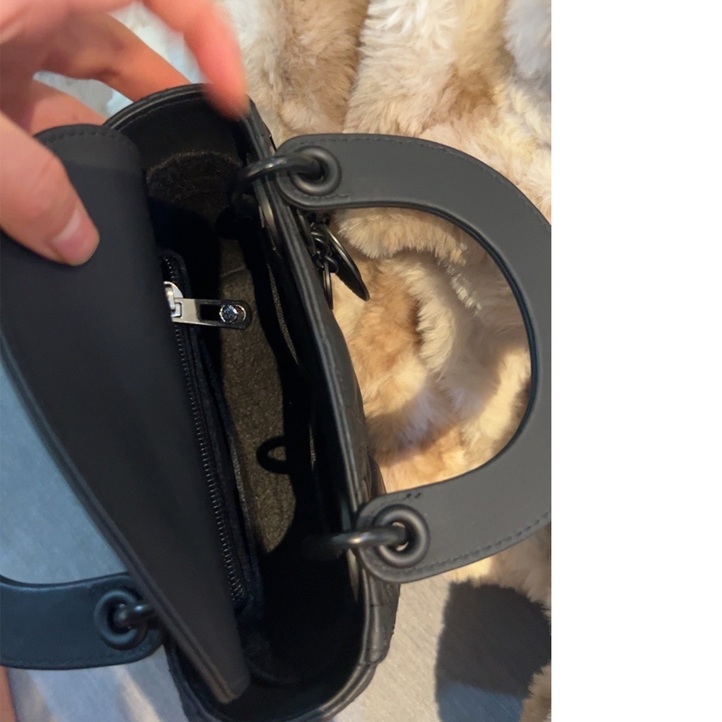 Fit For Lady Dio R Bag Organiz - Luxury Bags Dior 评论和价格